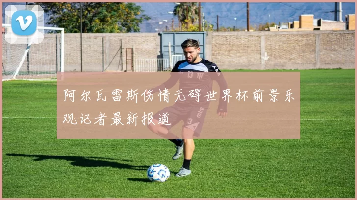 阿尔瓦雷斯伤情无碍世界杯前景乐观记者最新报道
