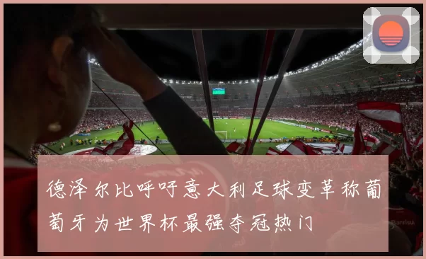 德泽尔比呼吁意大利足球变革称葡萄牙为世界杯最强夺冠热门